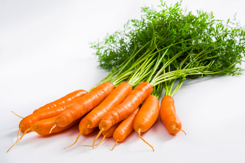 Choisir les variétés de carottes