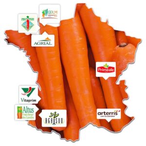 Carottes-de-France_Carte-adherents_2600303