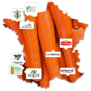 Carottes-de-France_Carte-adherents_260107
